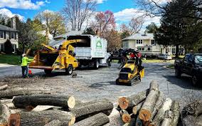  Mountain Lakes, NJ Tree Services Pros
